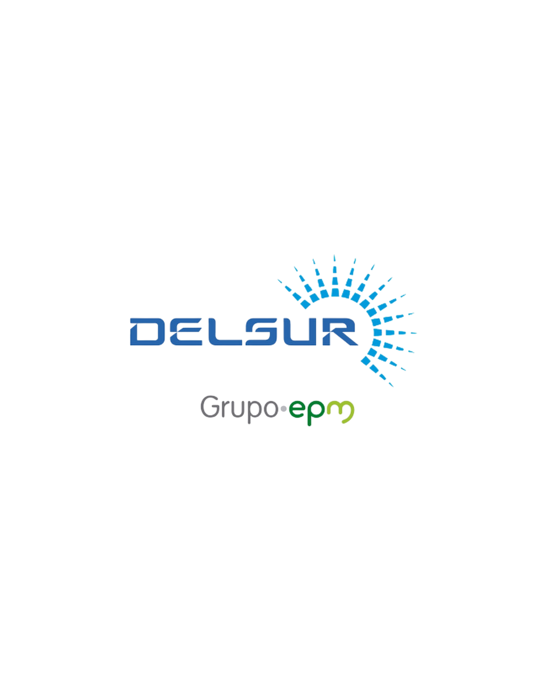 Logo Delsur